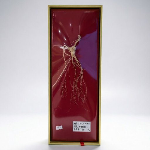 Premium Wild Asian Ginseng Root (for Energy Boost, Stamina & Immune Support)