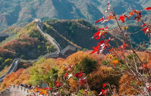No-Shopping Badaling Great Wall Day Tour