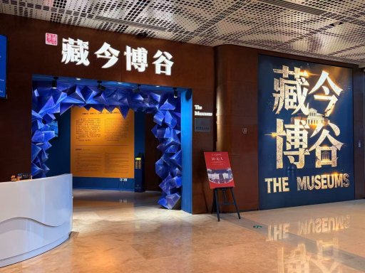 THE MUSEUMS Child Ticket