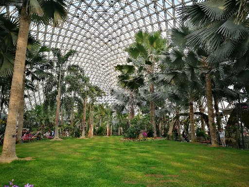 Shanghai Zoo, Chenshan Botanical Garden and Guangfulin Cultural Site Day Tour (Hotel Pick-up and Drop-off)