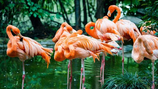 Shanghai Zoo