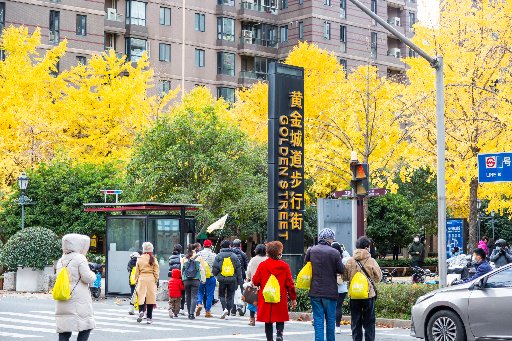 Golden City Road Pedestrian Street